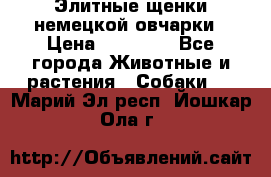 Элитные щенки немецкой овчарки › Цена ­ 30 000 - Все города Животные и растения » Собаки   . Марий Эл респ.,Йошкар-Ола г.